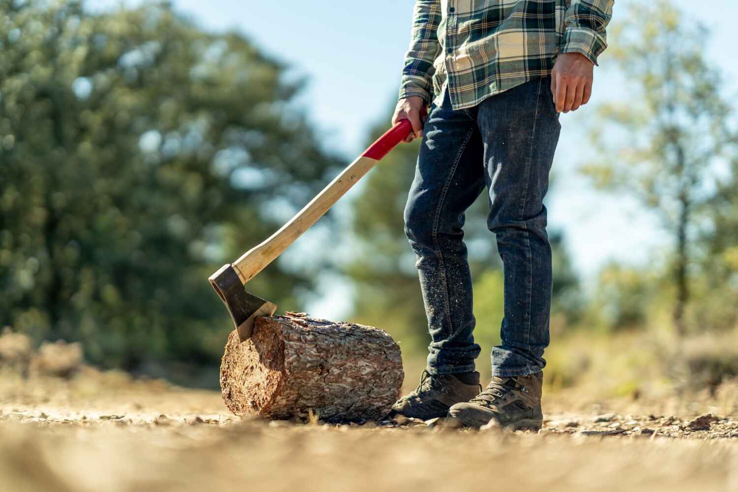 The Steps Involved in Our Tree Care Process in Waverly, IL